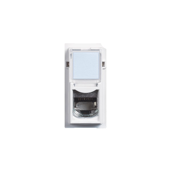 Base RJ45 Living Now - Cat.6 - UTP - Blanco - 1mod