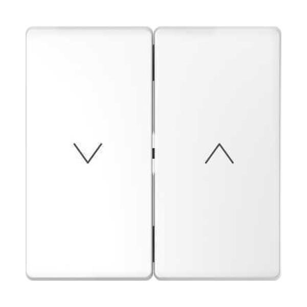 TECLA SIMPLE PARA MECANISMO DE PERSIANA D-LIFE BLANCO ÁRTICO