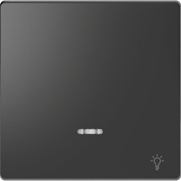 TECLA SIMPLE CON SÍMBOLO LUZ Y VISOR ANTRACITA PARA MECANISMO D-LIFE