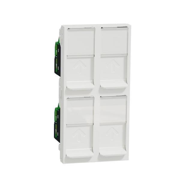 TOMA CUÁDRUPLE RJ45 UTP CATEGORÍA 6 POLAR