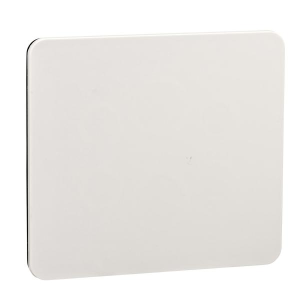 PLACA FRONTAL PARA ABERTURA 90x100 PARA BOTONES DIÁMETRO 22