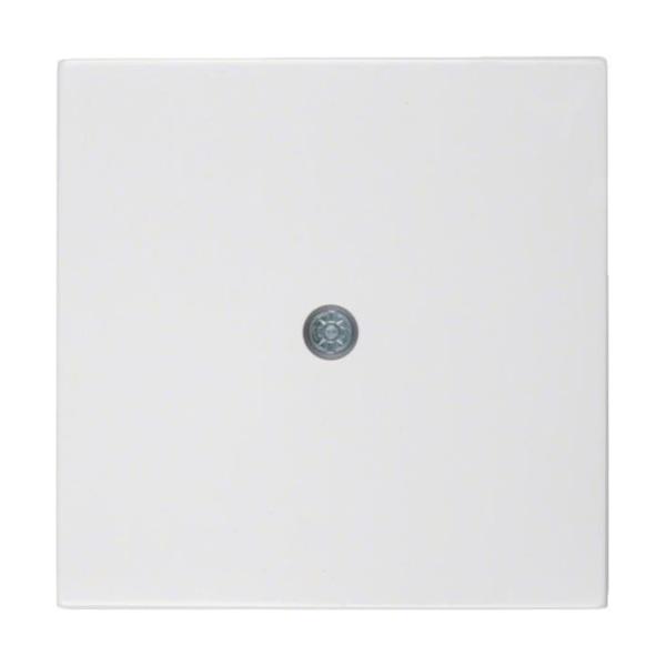 PLACA CENTRAL TORNILLO S1 BRILLO-BP