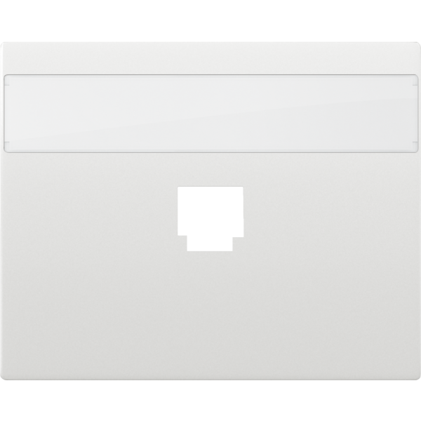 Tapa un conector rj11 o rj45 con portaetiquetas