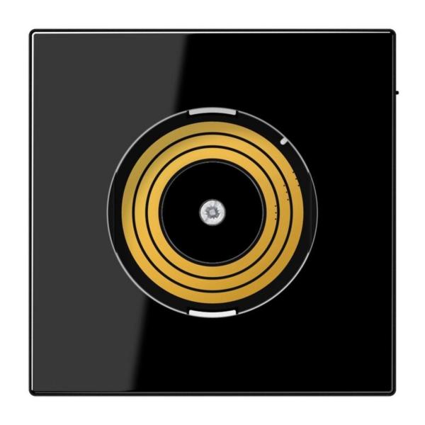 PLACA CENTRAL P&L SERIE LS990 CON DMS NEGRO