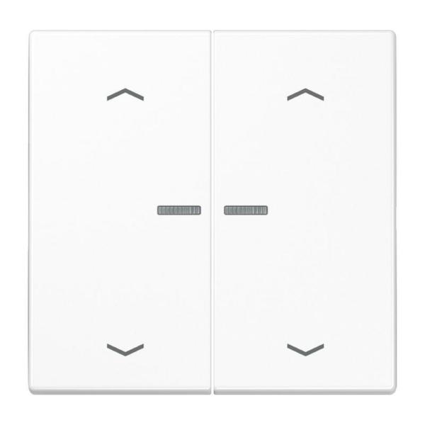 TECLA PULSADOR DOBLE CON VISOR PERSIANA LS BLANCO ALPINO