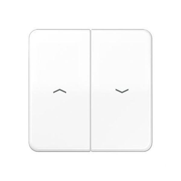 TECLA PARA INTERRUPTOR PULSADOR PERSIANA BLANCO ALPINO