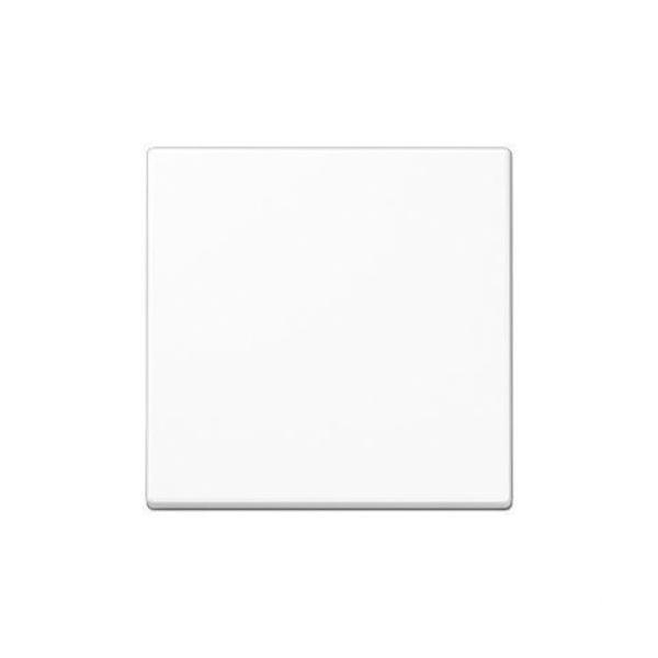 TECLA SIMPLE INTERRUPTOR PULSADOR A500 BLANCO ALPINO