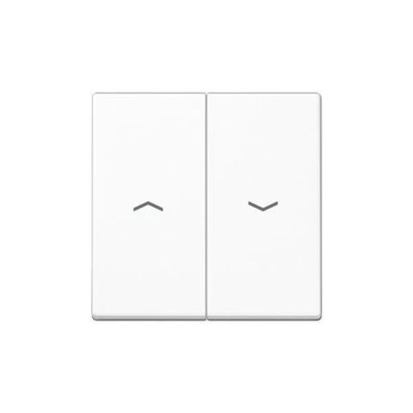 TECLA DOBLE SÍMBOLO PERSIANA A500 BLANCO ALPINO