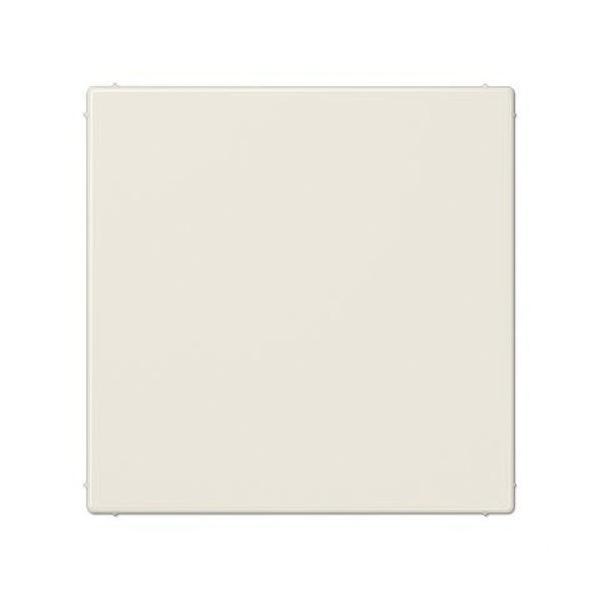 PLACA CIEGA BLANCO MARFIL