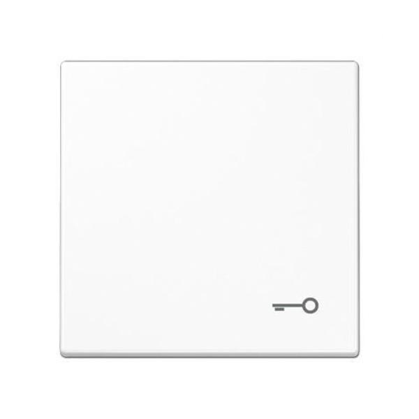 TECLA SÍMBOLO PUERTA BLANCO ALPINO