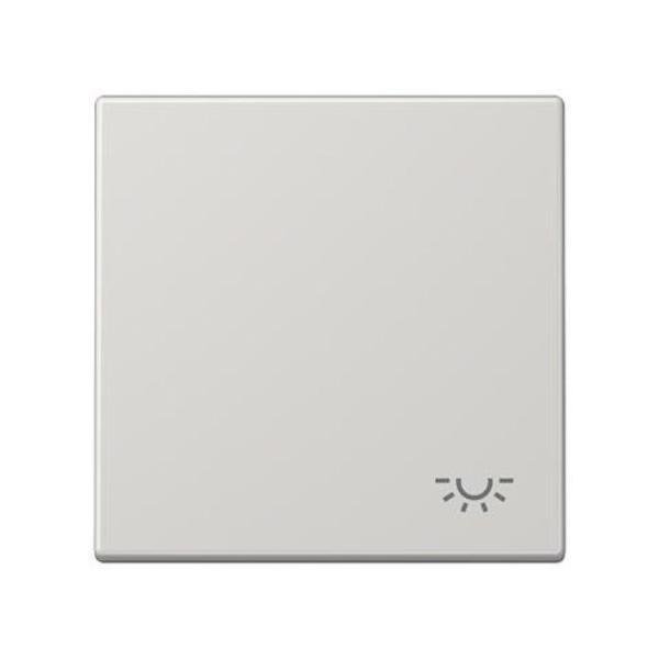 TECLA SÍMBOLO LUZ LS990 GRIS