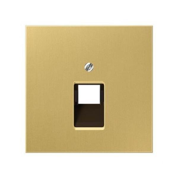 PLACA CENTRAL TOMA TELEFÓNICA / INFORMÁTICA LATÓN CLASSIC