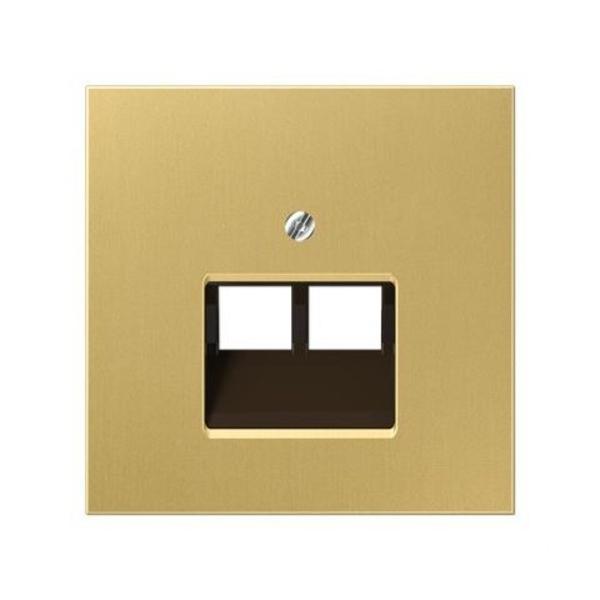 PLACA CENTRAL TOMA TELEFÓNICA / INFORMÁTICA LATÓN CLASSIC