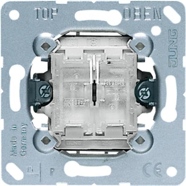 MECANISMO DOBLE INTERRUPTOR BIPOLAR BASCULANTE 10AX 250V