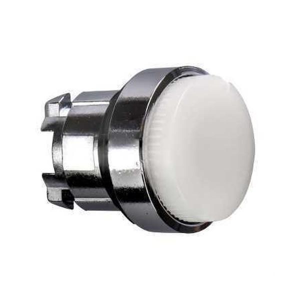 CABEZA PULSADOR LUMINOSO LED SALIDA P-P BLANCA