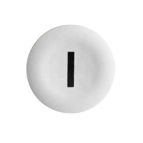 PLACA MARCADA PARA PULSADOR BLANCA I NEGRA