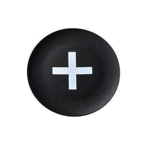 PLACA + PULSADOR RASANTE