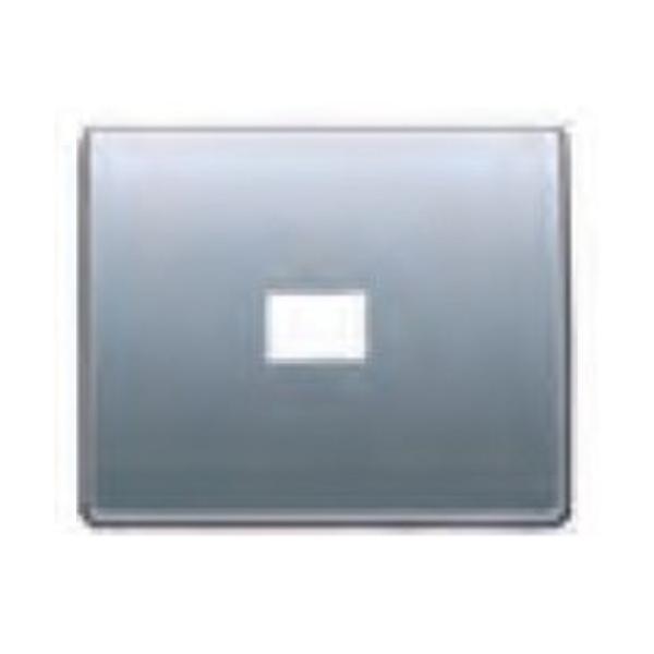 TAPA P/TOMA RCA/VIDEO S.MEGA-DT