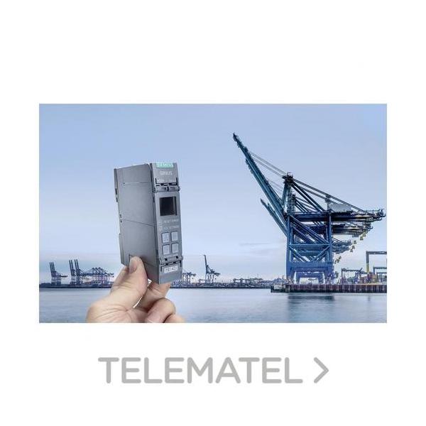 VNTE.AJUSTE DIG.RL.VIG.PERD.FS.SECN.FS.ASIMETRÍA,FREC.SBT.VIG.SUBTENSIÓN