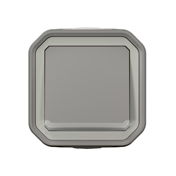 Conmutador luminoso Plexo monobloc superficie - 10AX - Gris